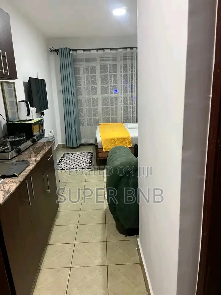 Fully Furnished Studio Airbnb in Ruaka at 2500kes/Night