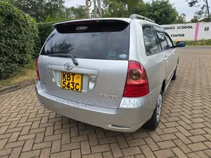 Toyota Corolla Fielder 2005 Gray