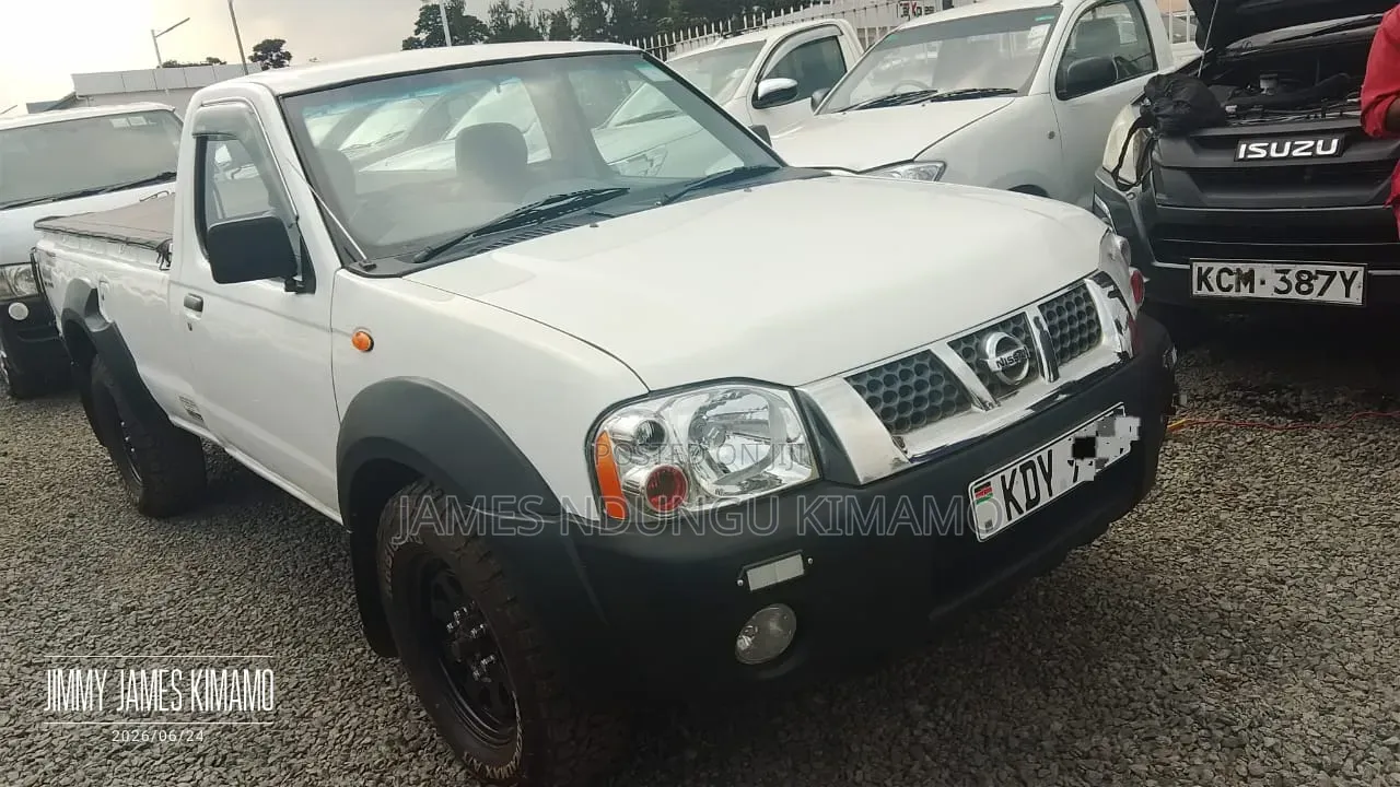 Nissan Pick-Up 2009 White