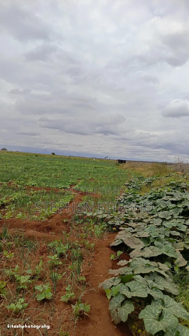 10acres for Sale at Loitoktok Kimana Area