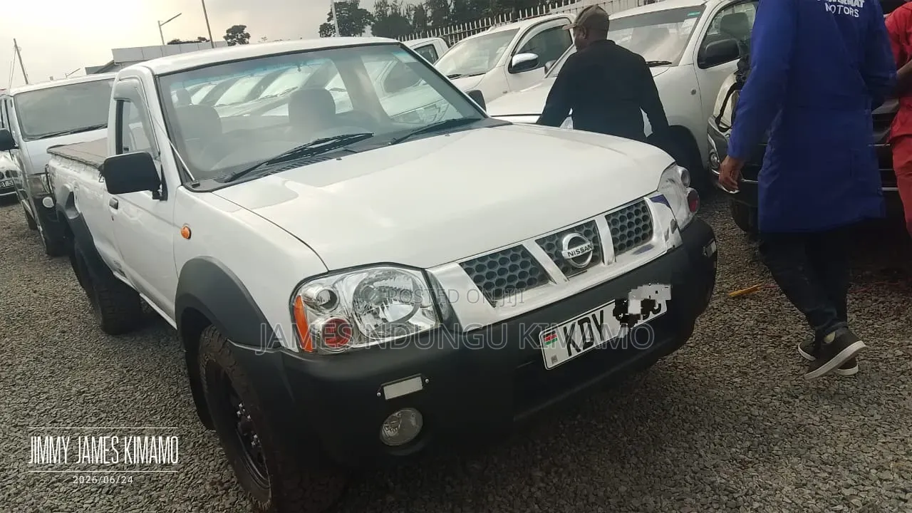 Nissan Pick-Up 2009 White