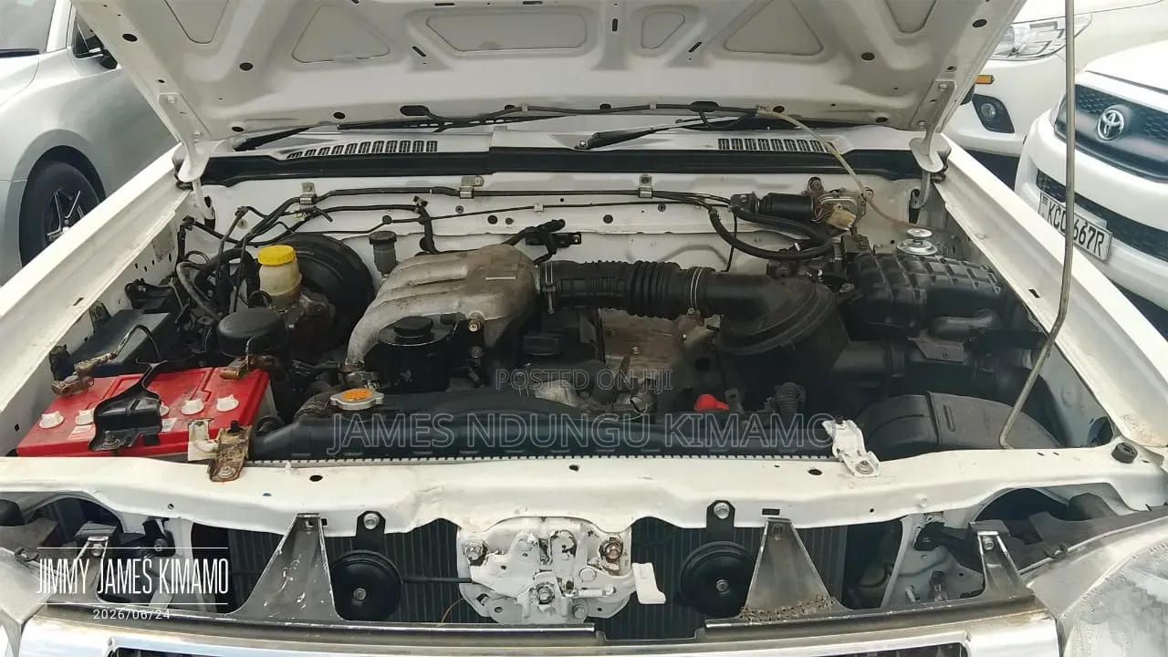 Nissan Pick-Up 2009 White