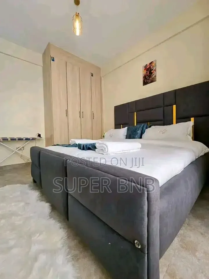 1 2 Bedroom Airbnb Fully Furnished Available in Muranga Town