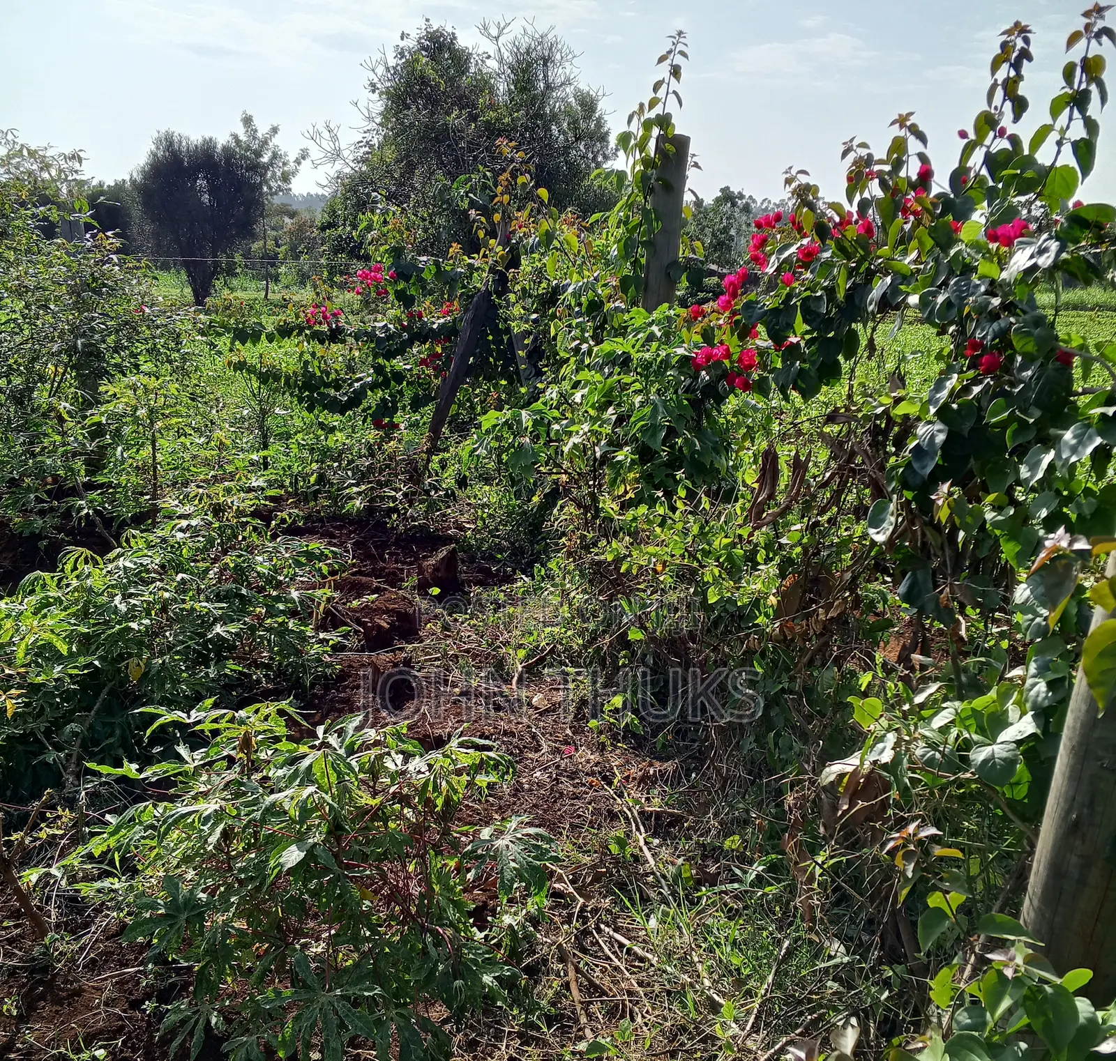 Land Kutus-Kerugoya 1⁄8 Acre