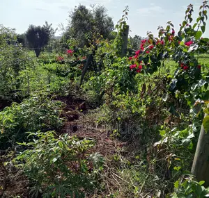 Land Kutus-Kerugoya 1⁄2acre (Half Acre)