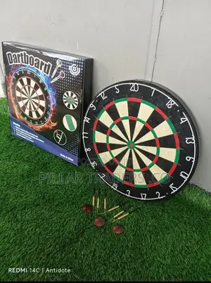 Professional Dart Board