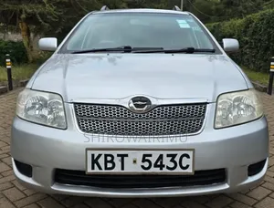 Toyota Corolla Fielder 2005 Silver