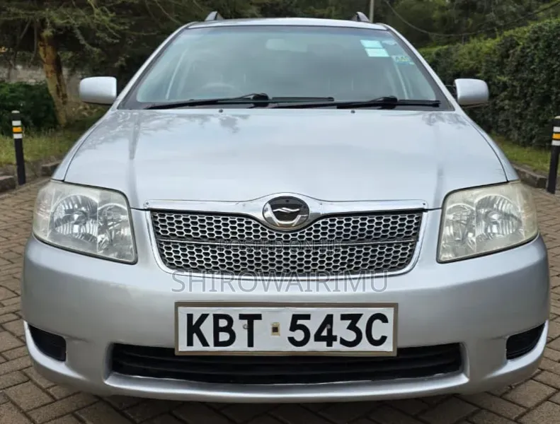 Toyota Corolla Fielder 2005 Silver