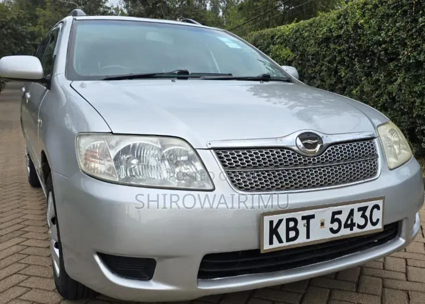 Toyota Corolla Fielder 2005 Silver