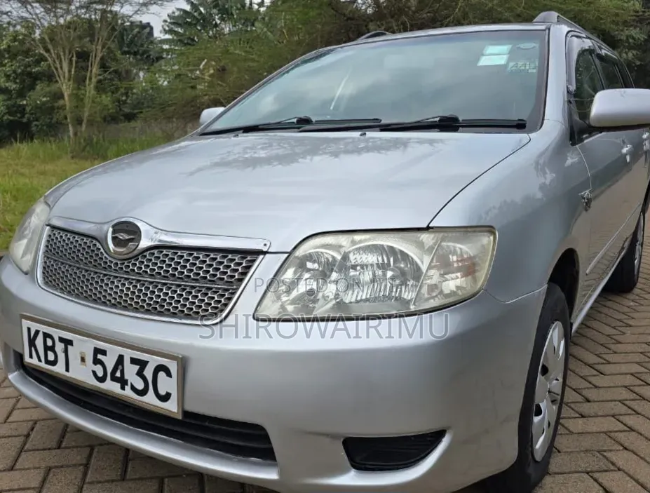 Toyota Corolla Fielder 2005 Silver