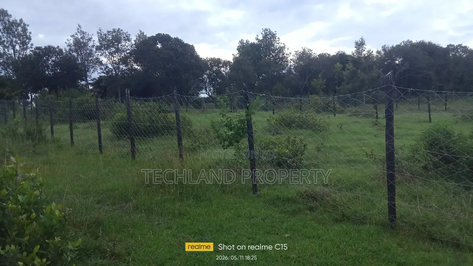 4acres Nairutia Mutarakwa Nyeri.
