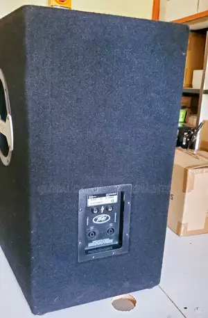 Peavey Pro-15 Passive Pa Speaker 15" Woofer + Horn for Events