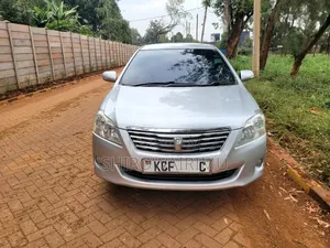 Toyota Premio 2008 Silver