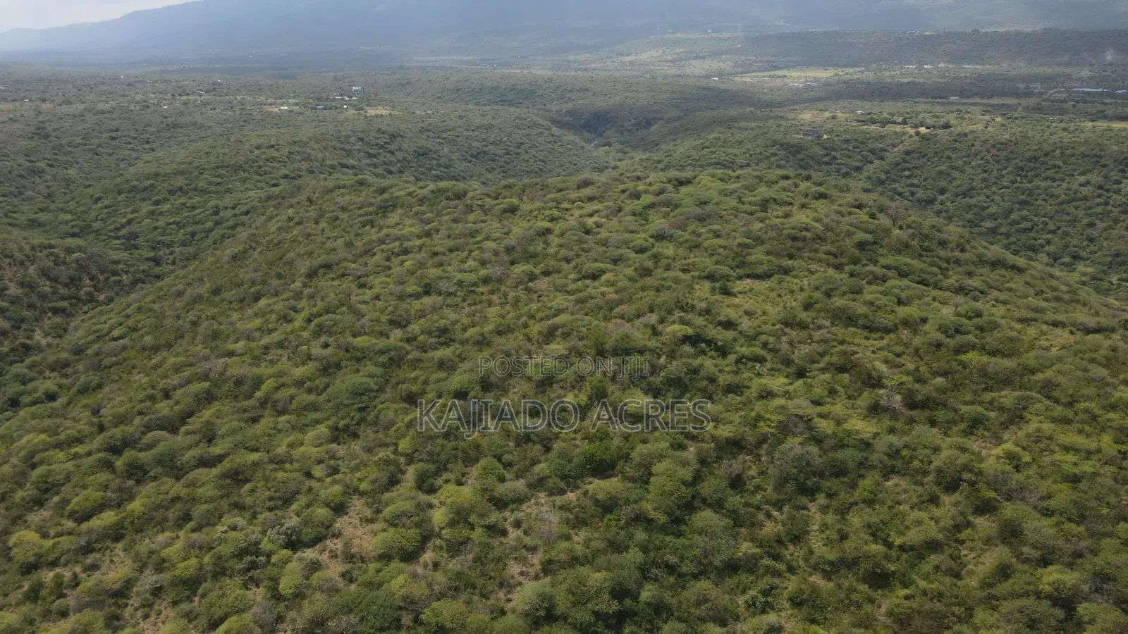 Emergency Sale 10 Acres Kashanga, Kisamis at Per Acre