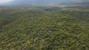 Emergency Sale 10 Acres Kashanga, Kisamis at Per Acre