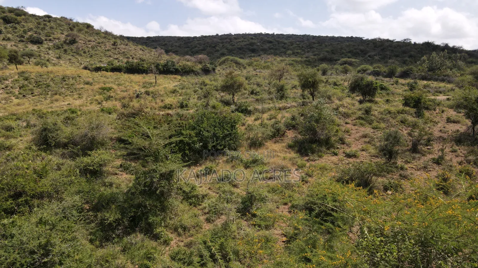 Emergency Sale 10 Acres Kashanga, Kisamis at Per Acre