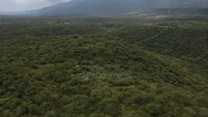 Emergency Sale 10 Acres Kashanga, Kisamis at Per Acre