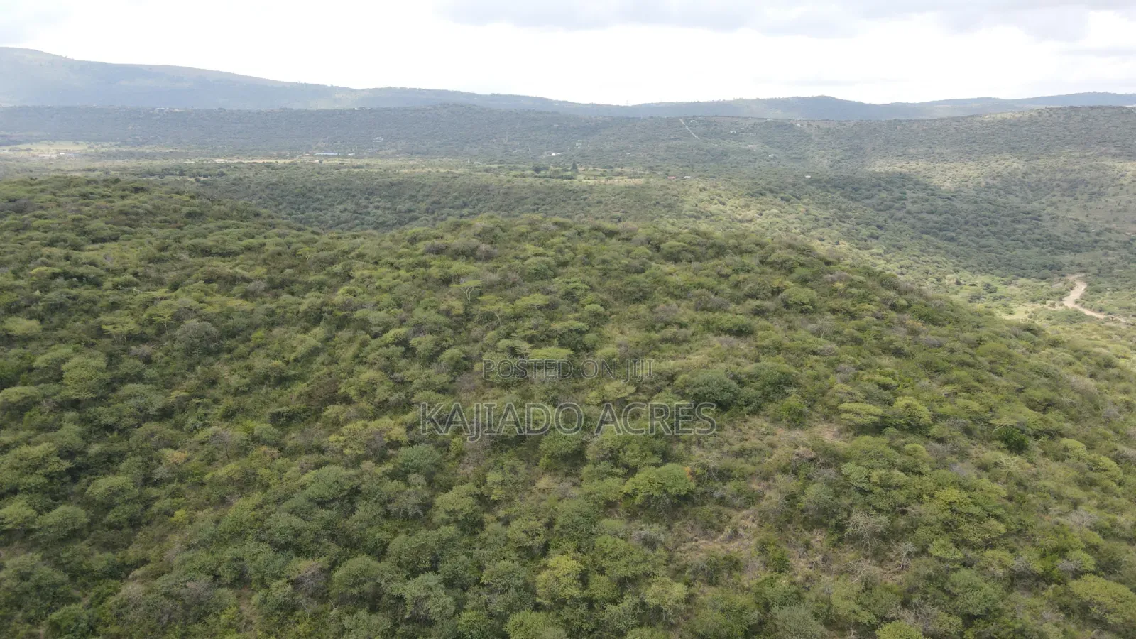 Emergency Sale 10 Acres Kashanga, Kisamis at Per Acre