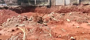 Murram Soil Supply