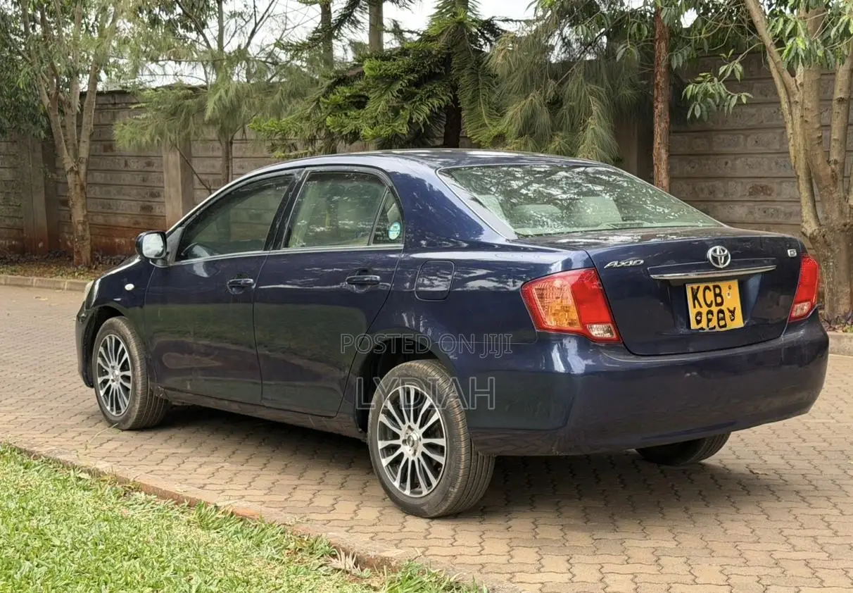 Toyota Axio 2007 Blue
