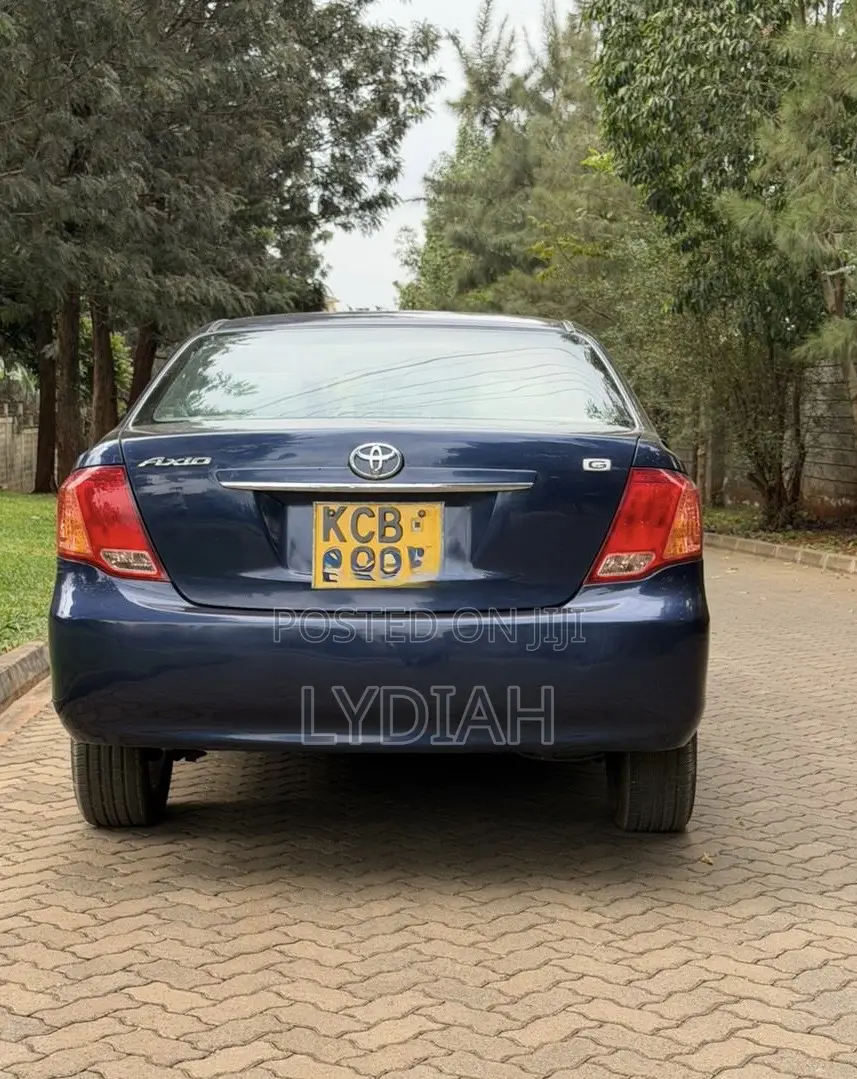 Toyota Axio 2007 Blue