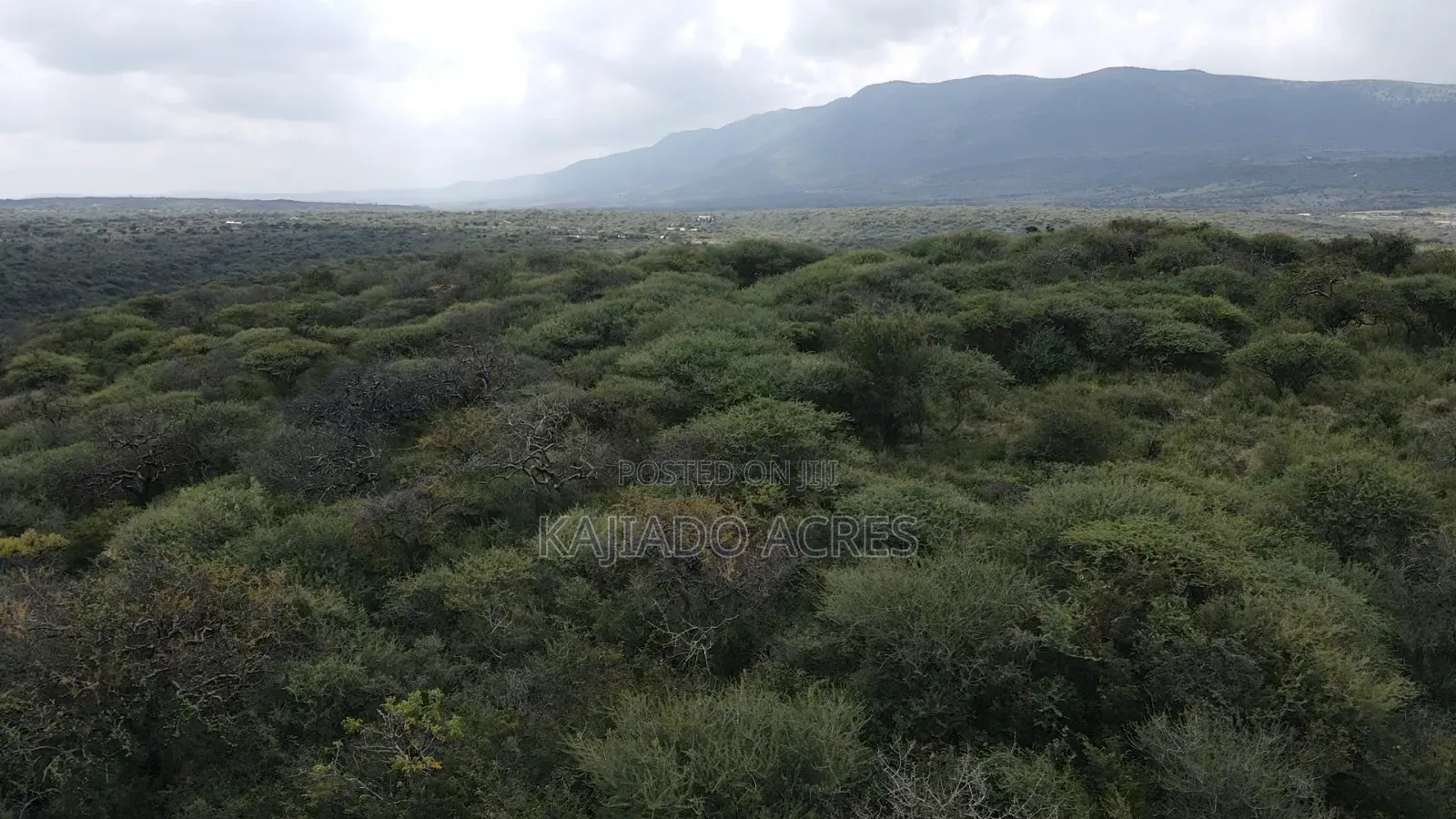 Emergency Sale 10 Acres Kashanga, Kisamis at Per Acre