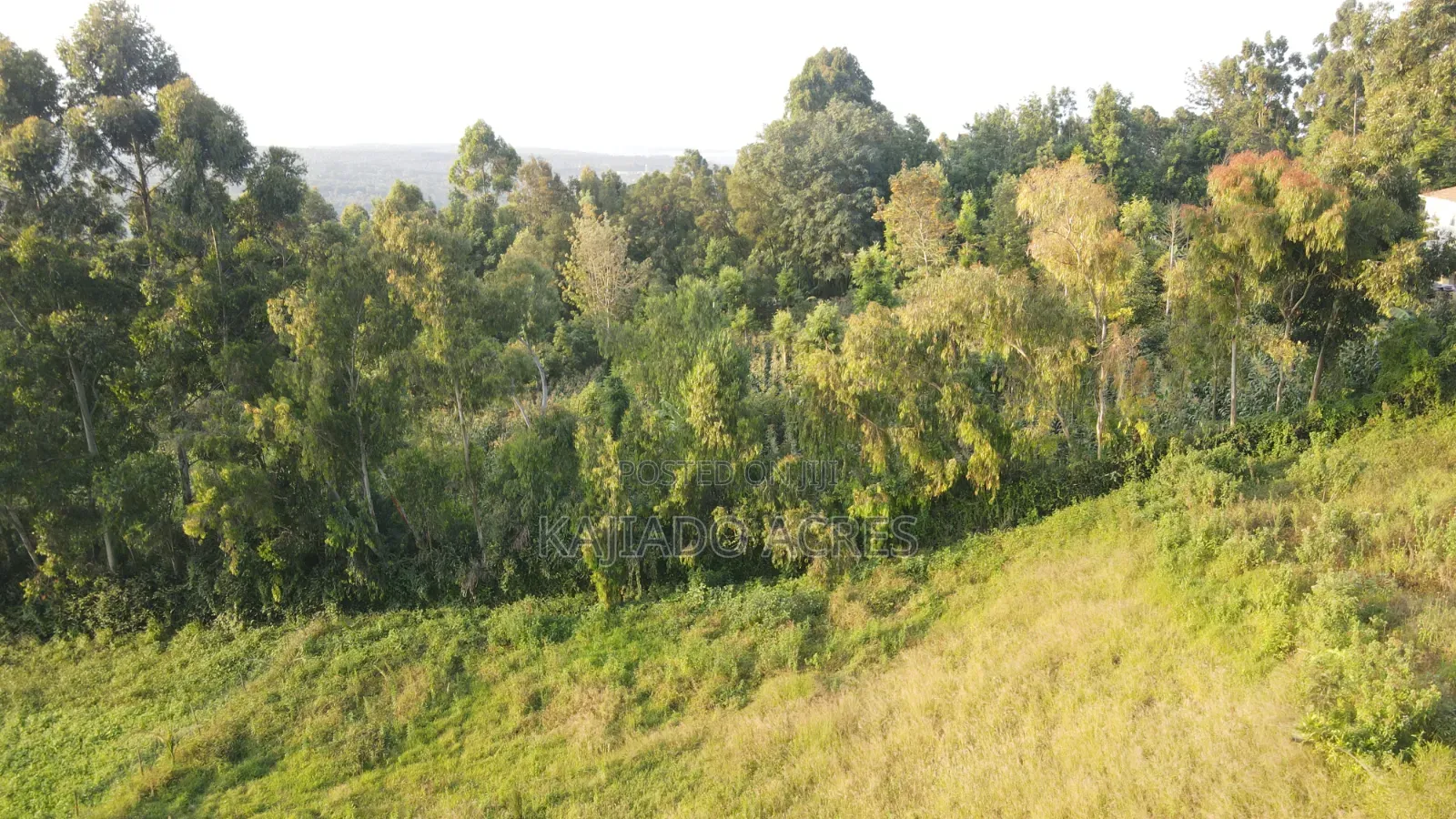 1/8 Acres Kibiku,Maragara Road