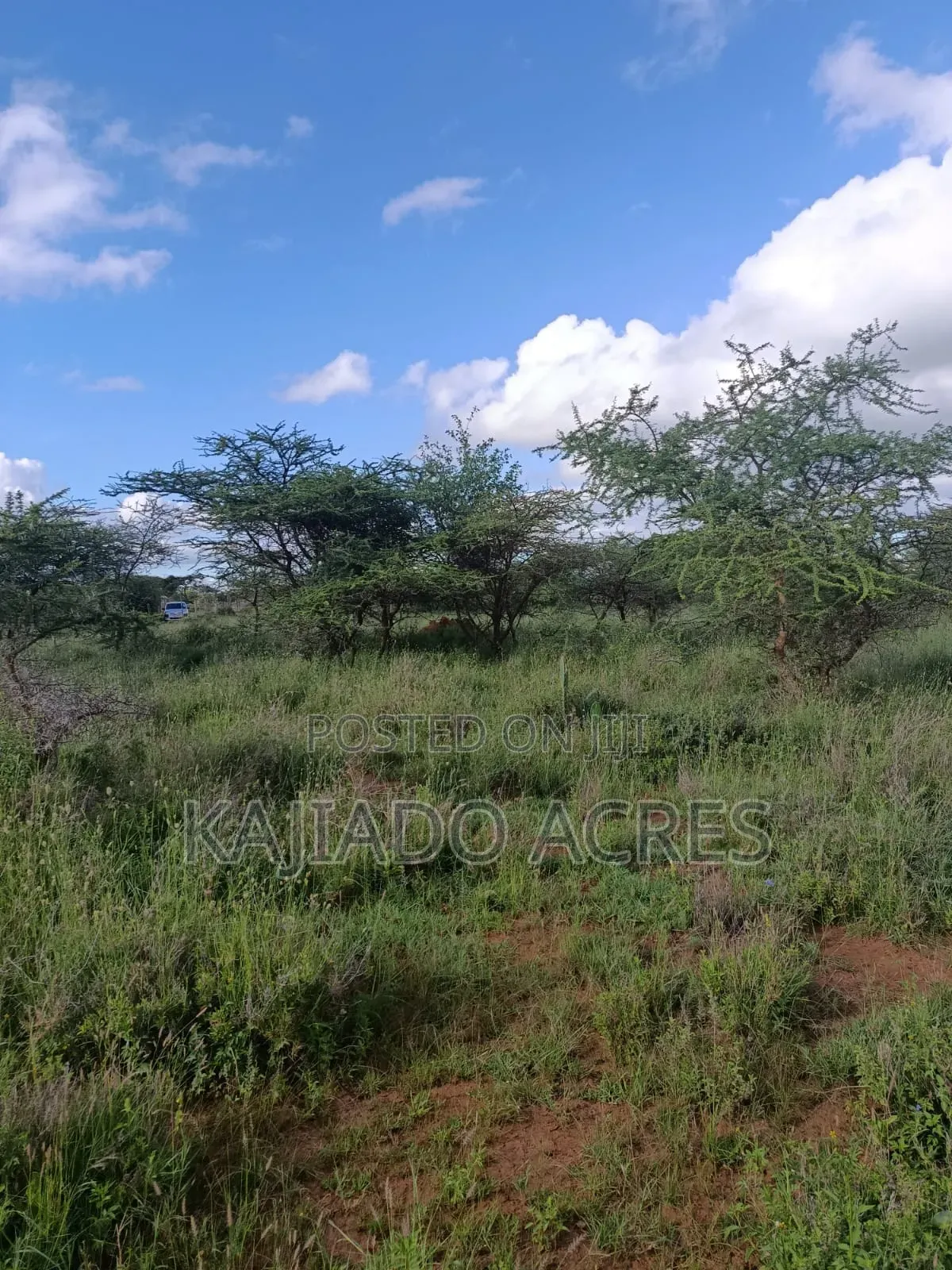 10 Acres Ewuaso Kedong Touching Tarmac
