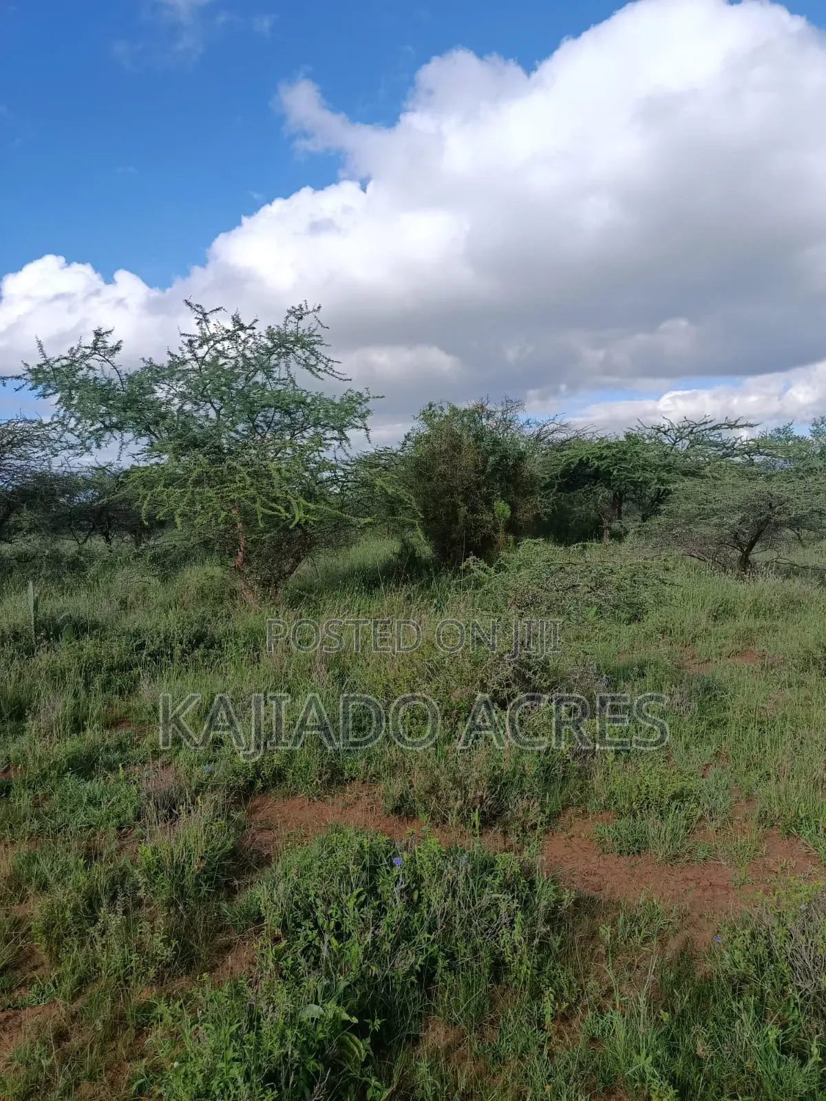 10 Acres Ewuaso Kedong Touching Tarmac