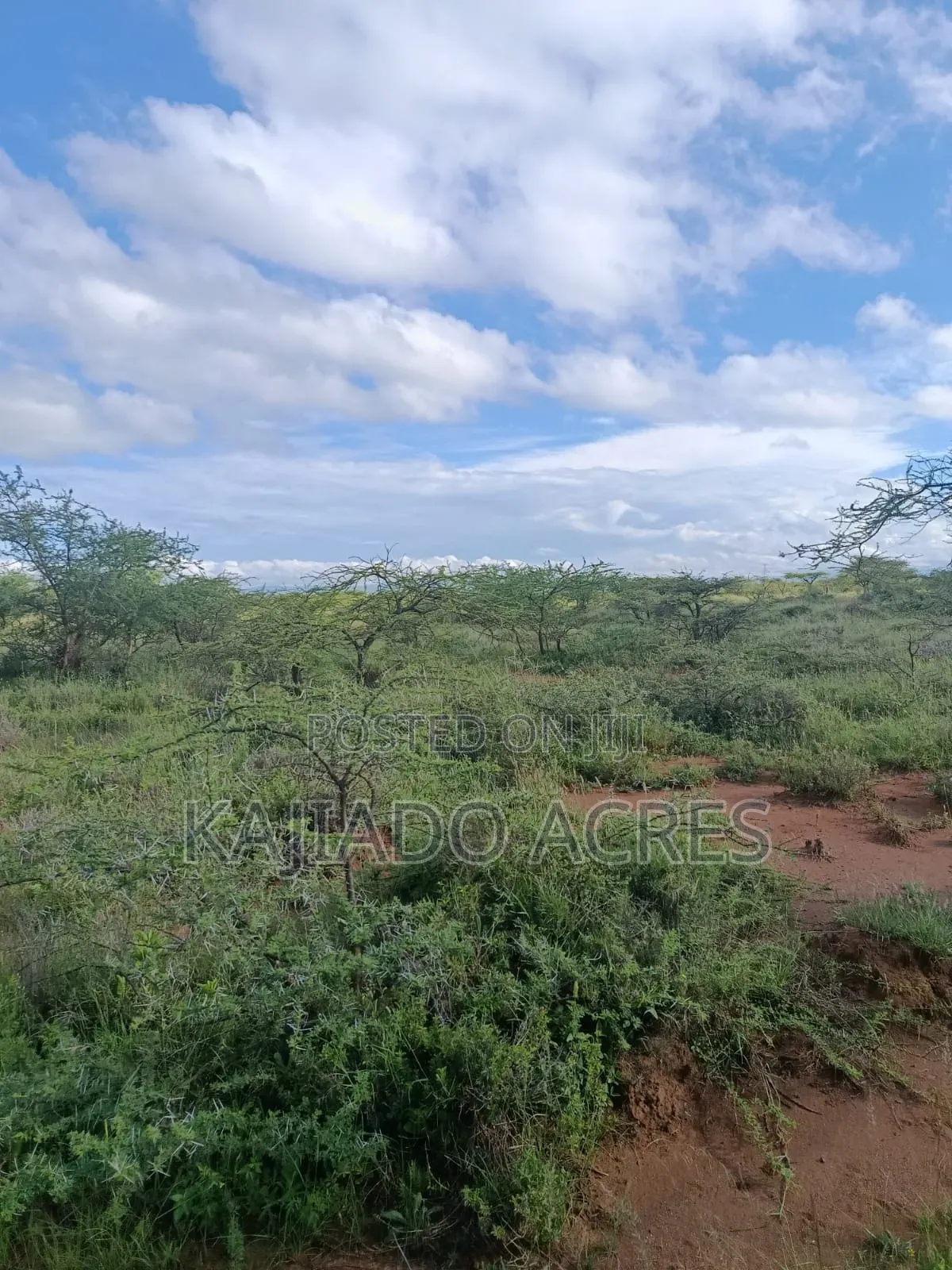 10 Acres Ewuaso Kedong Touching Tarmac