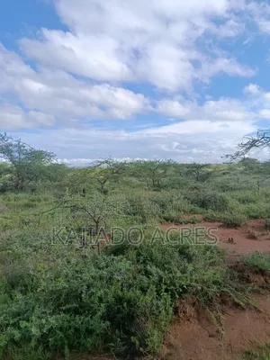 10 Acres Ewuaso Kedong Touching Tarmac