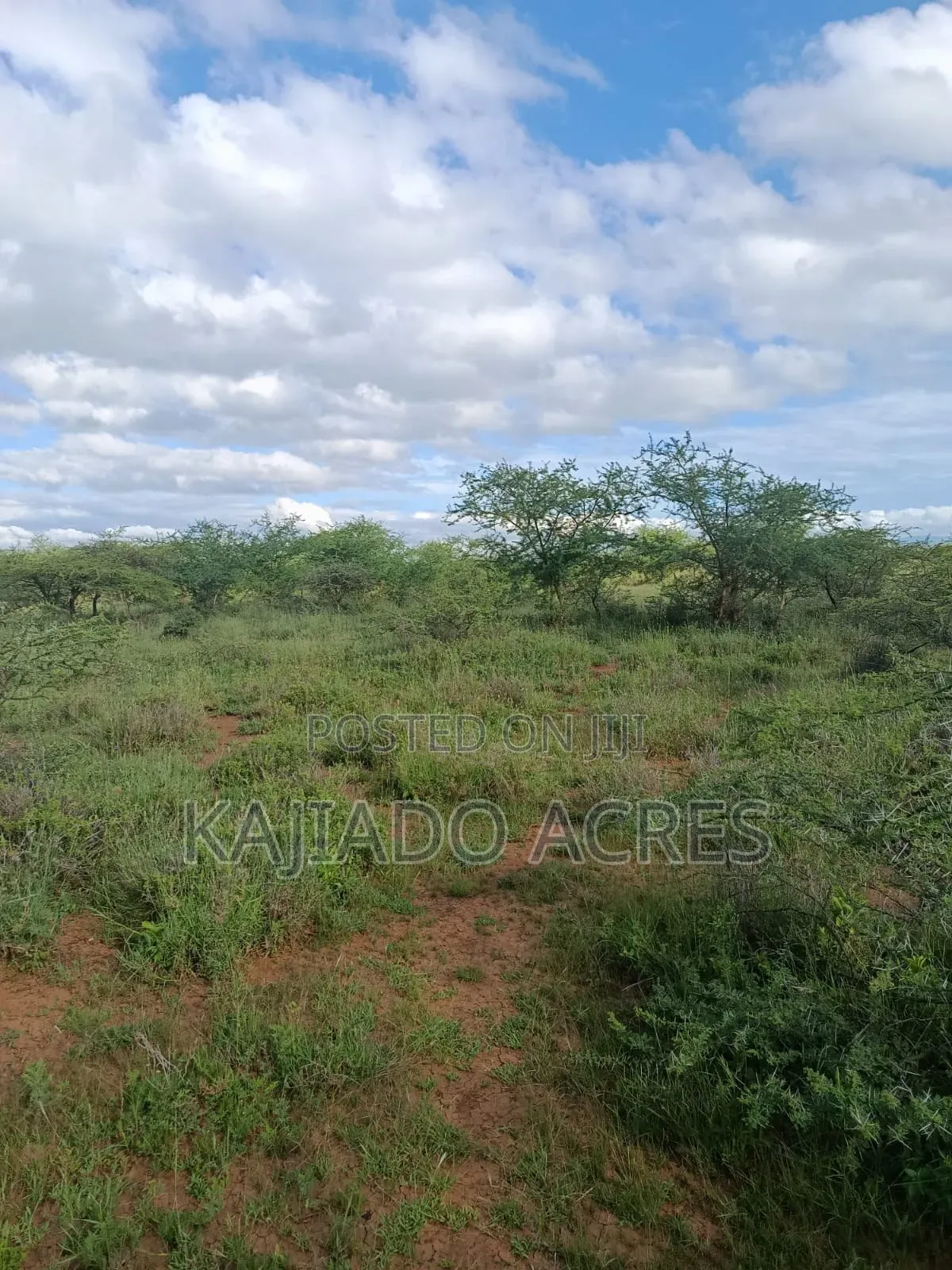 10 Acres Ewuaso Kedong Touching Tarmac