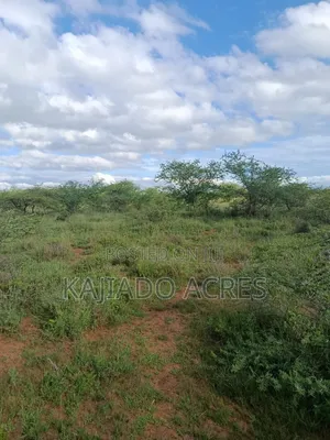 10 Acres Ewuaso Kedong Touching Tarmac
