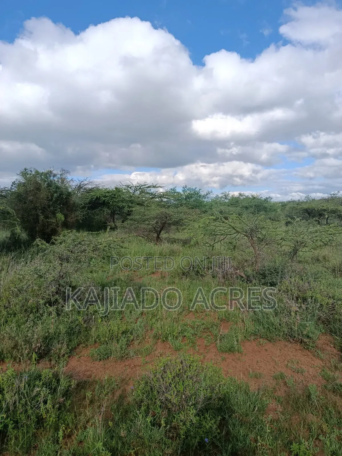 10 Acres Ewuaso Kedong Touching Tarmac