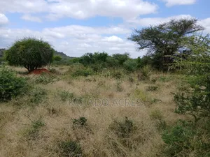 38 Acres Nguyan at Per Acre