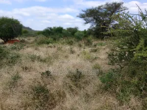 38 Acres Nguyan at Per Acre