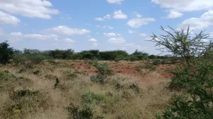 38 Acres Nguyan at Per Acre
