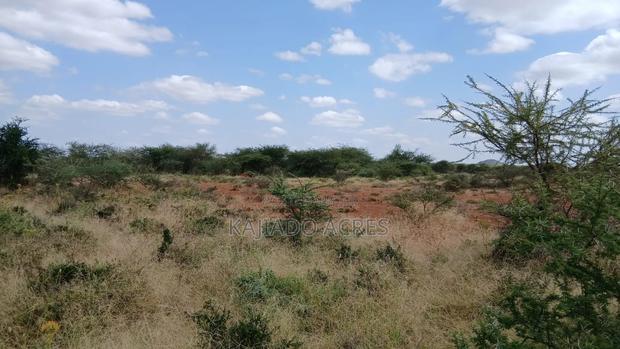 38 Acres Nguyan at Per Acre - thumbnail 3