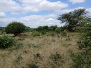 38 Acres Nguyan at Per Acre