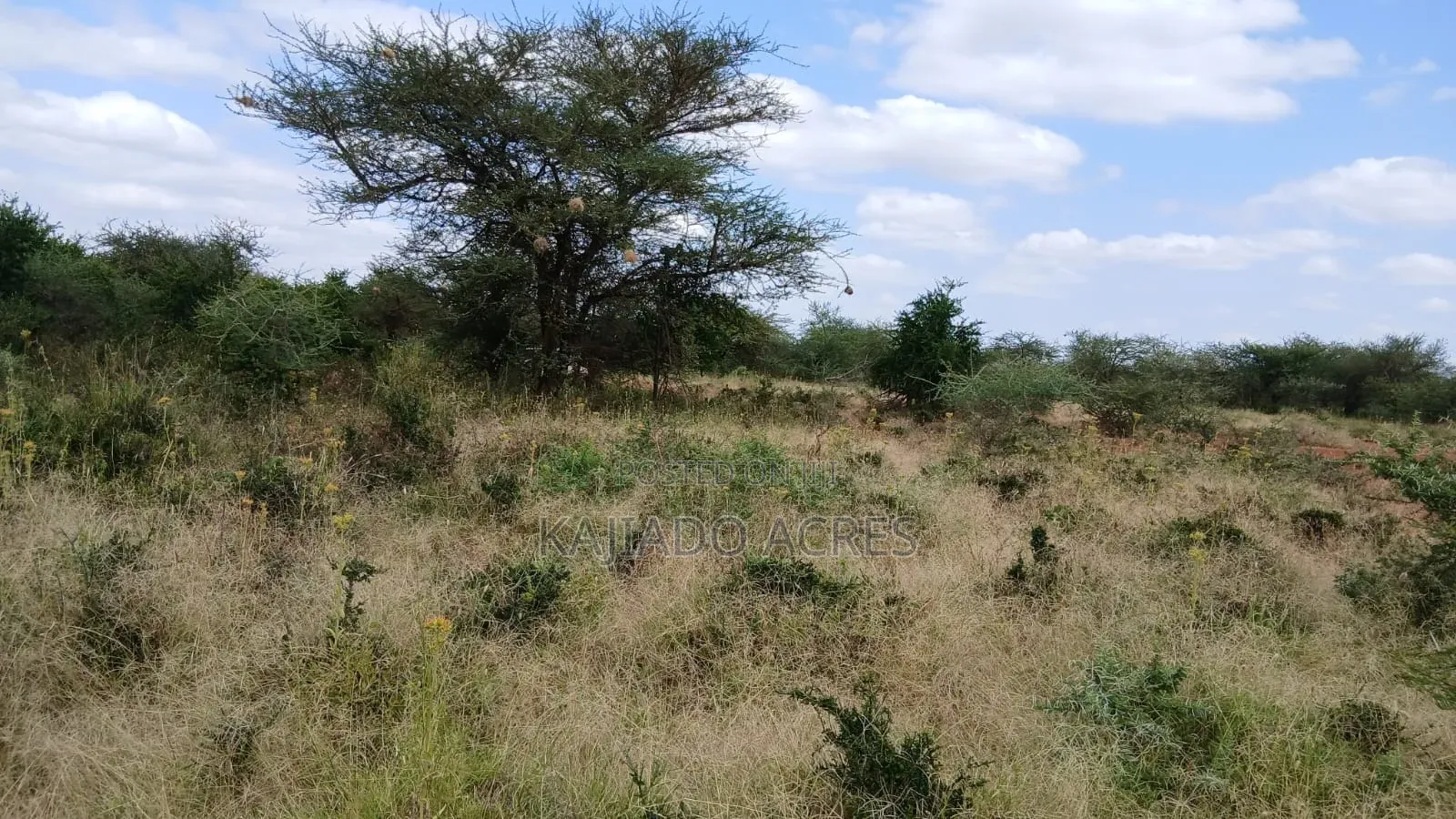 38 Acres Nguyan at Per Acre
