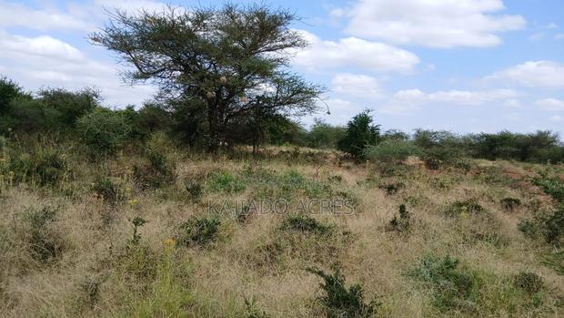 38 Acres Nguyan at Per Acre - thumbnail 5
