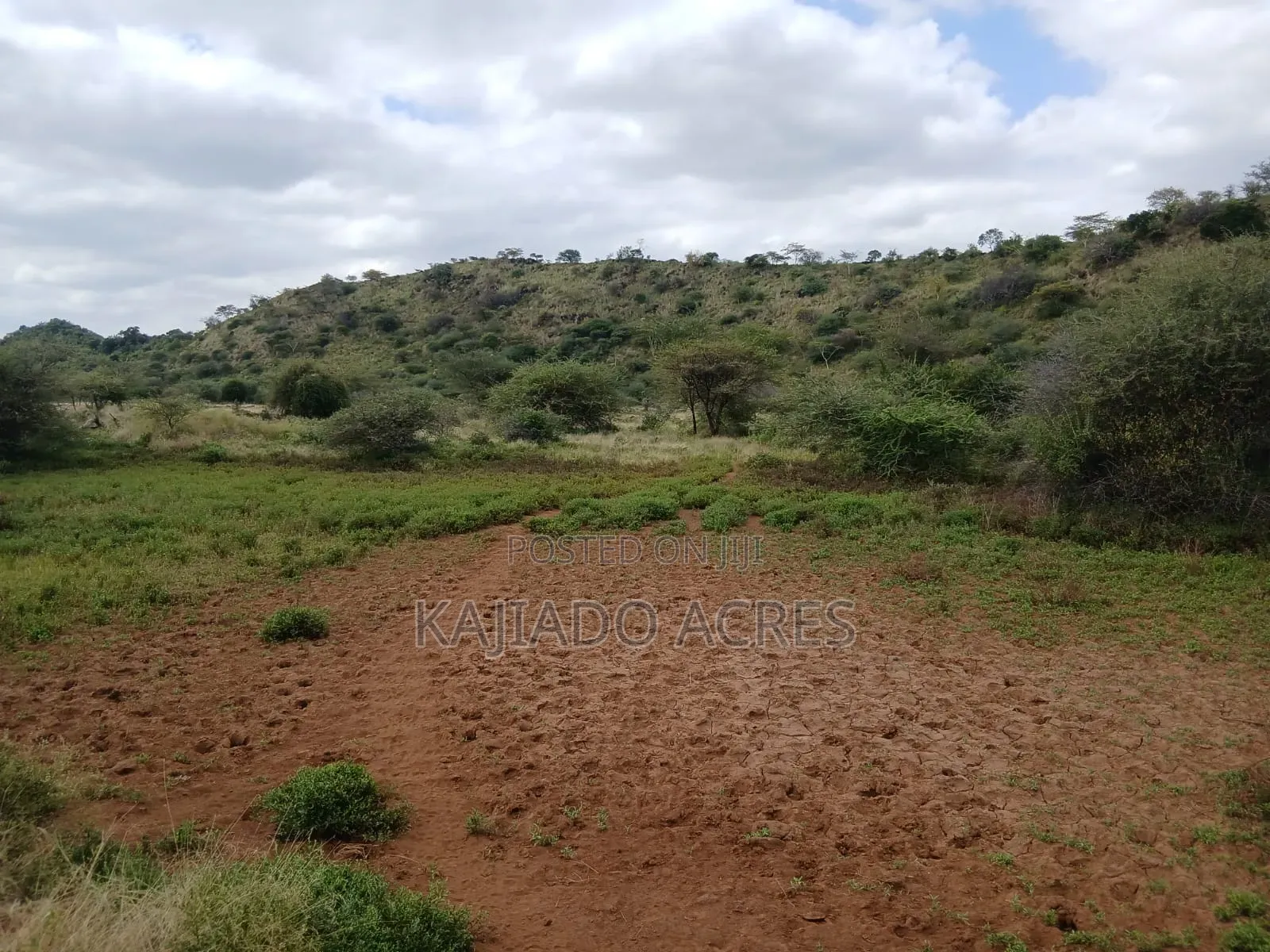 38 Acres Nguyan at Per Acre