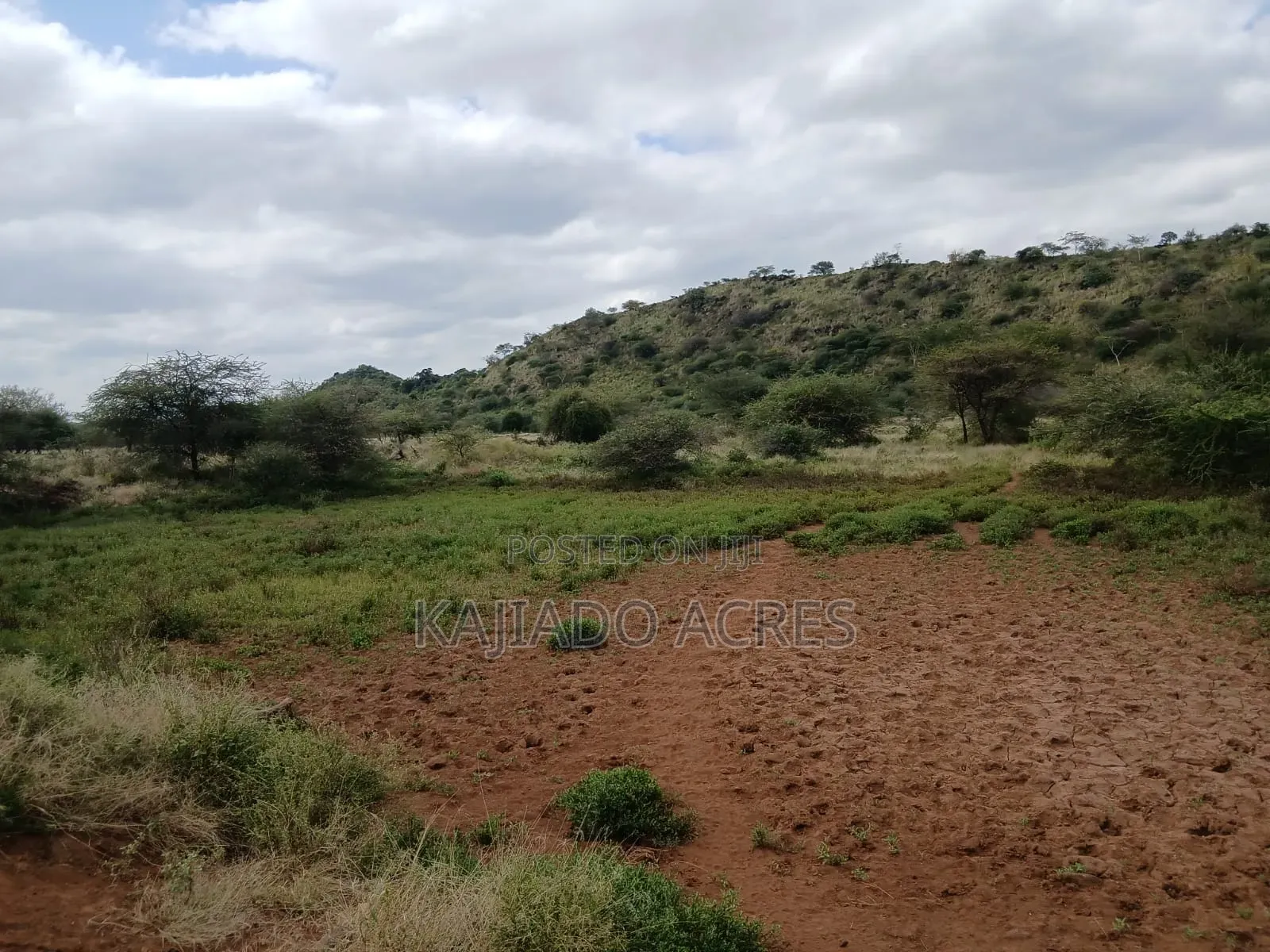 38 Acres Nguyan at Per Acre