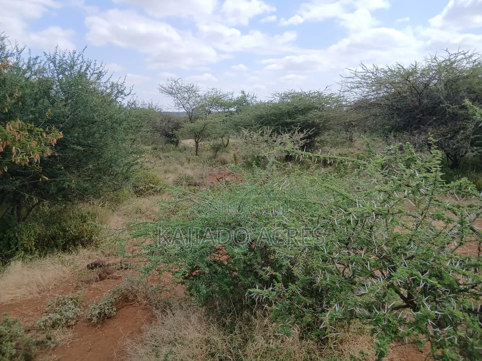 38 Acres Nguyan at Per Acre