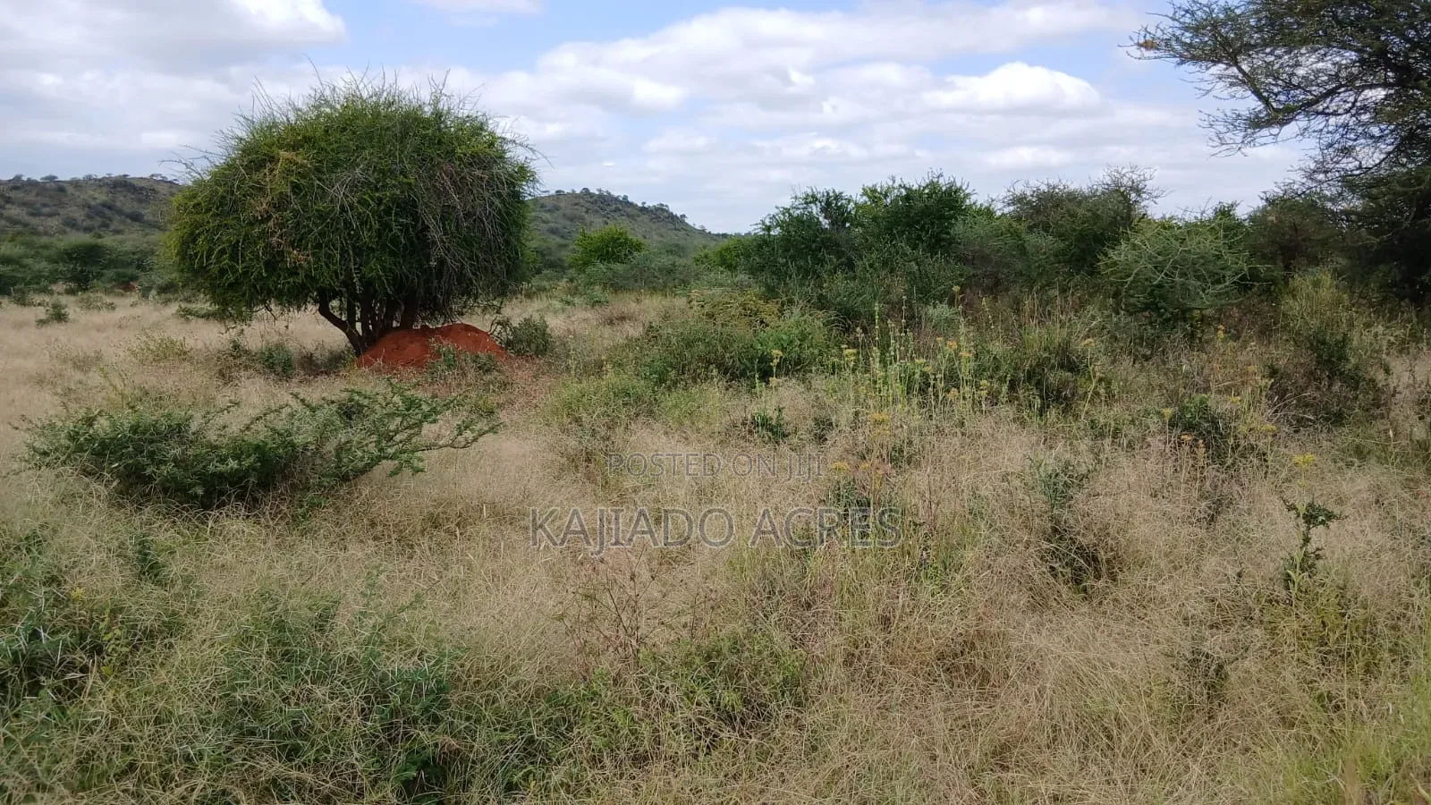 38 Acres Nguyan at Per Acre