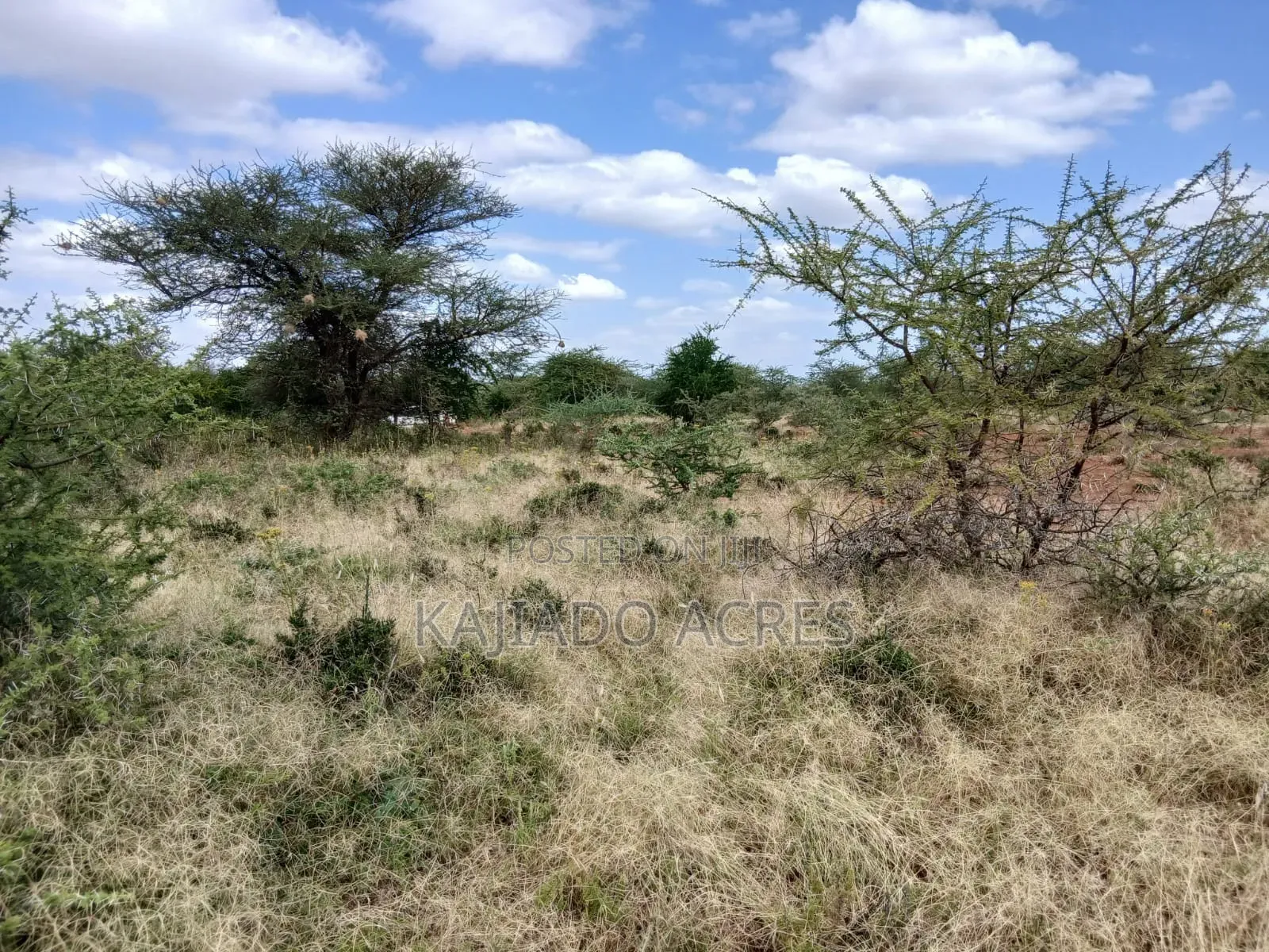 38 Acres Nguyan at Per Acre