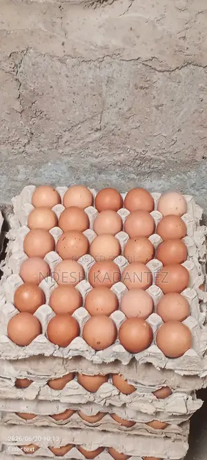 Graded Eggs