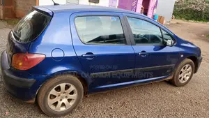 Peugeot 307 2005 Blue