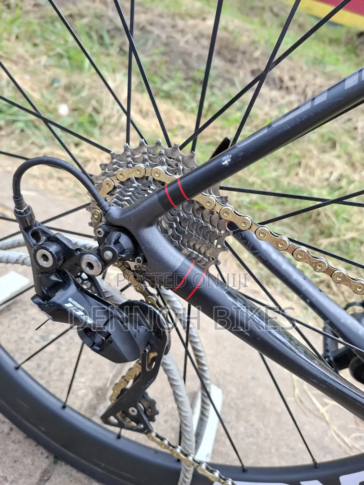 Cannondale Synapse Carbon Roadbike