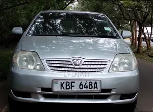 Toyota Allex 2002 Silver